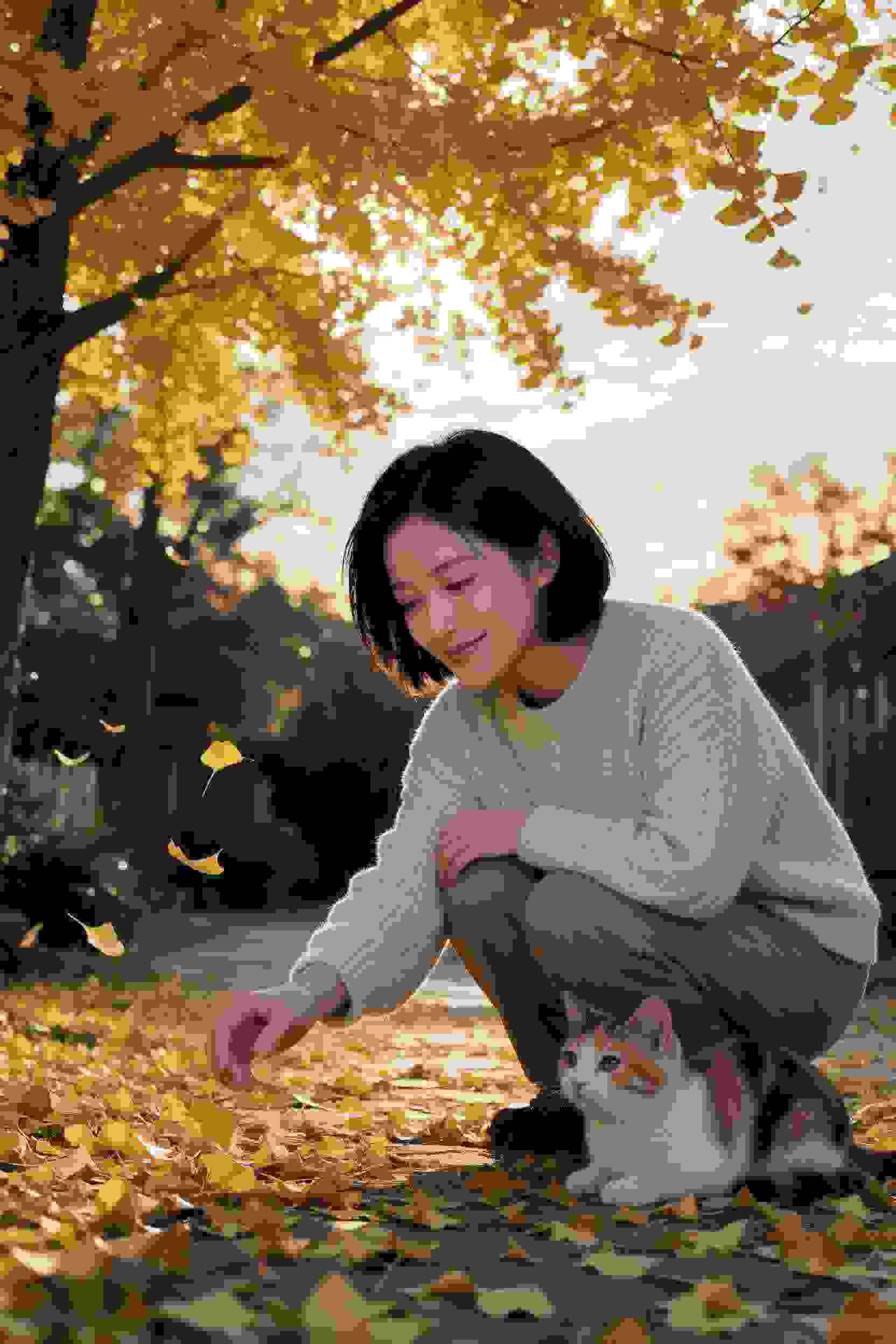重生之隐婚小娇妻